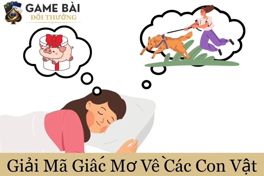 Giải Mã Giấc Mơ Về Các Con Vật Giải Mã Giấc Mơ Về Các Con Vật