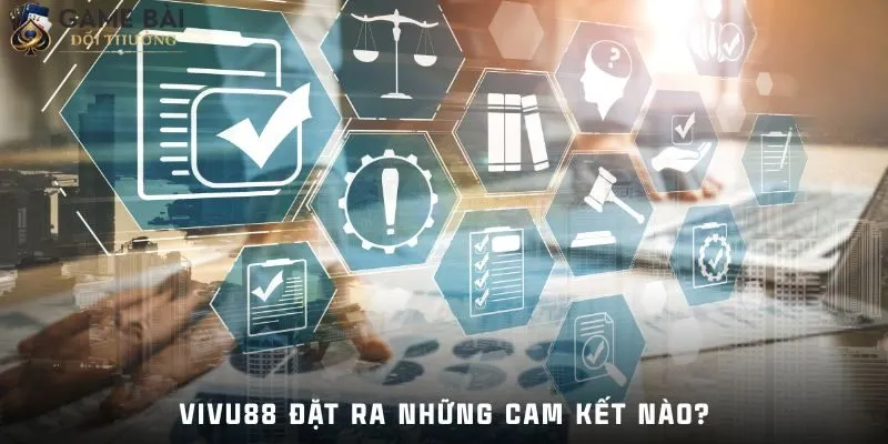 Vivu88 3 Vivu88 đặt ra những cam kết nào?