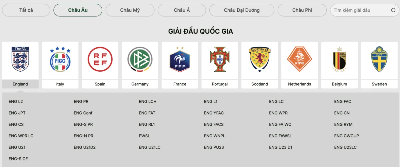 Dữ liệu bóng đá anh